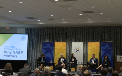 Stipeche Speaks to Workforce Issues at NAEP Discussion